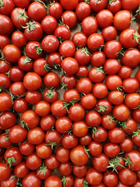 Image for event: A Brief History of Tomatoes